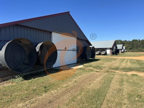 poultry farm (12)