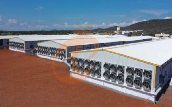 poultry house  ventilation 3 (2)