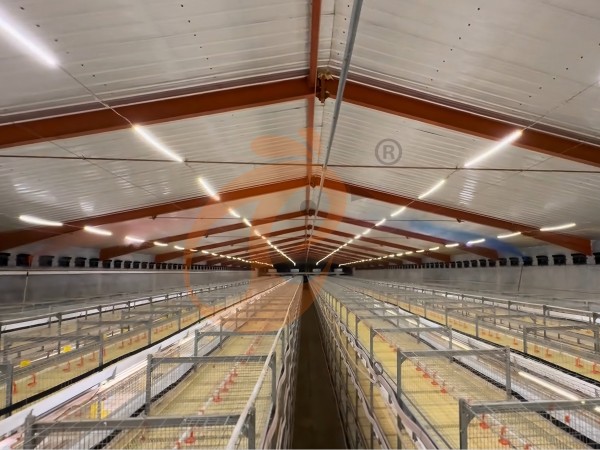 poultry house  ventilation 3 (1-1)