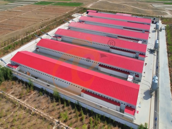 poultry ventilation system