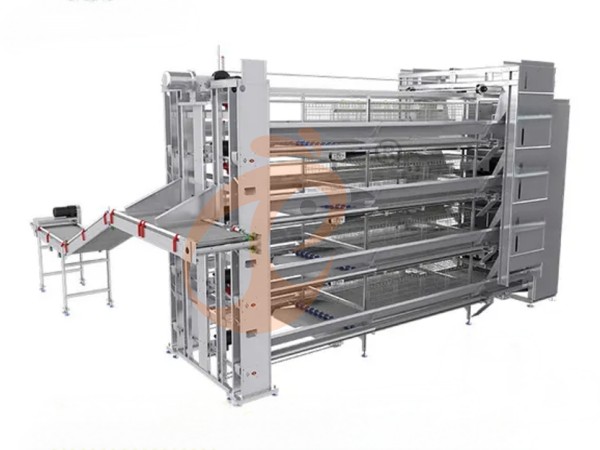 chicken battery cage poultry farm 1 (13)