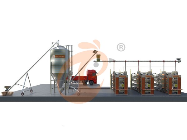 Jaula de batería automática tipo H para más de 30,000 gallinas ponedoras