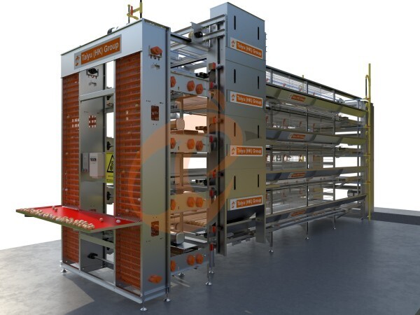 Jaula de batería automática tipo H para más de 30,000 gallinas ponedoras