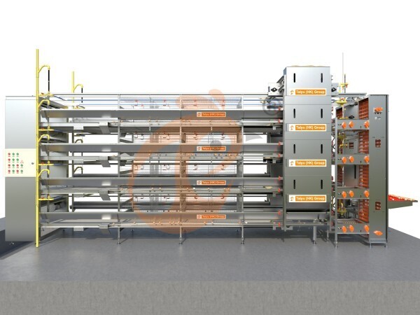 Jaula de batería automática tipo H para más de 30,000 gallinas ponedoras