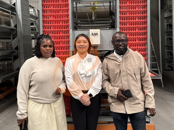 La sucursal de Etiopía ofrece un plan de negocio para granjas avícolas y fabrica equipos para granjas avícolas