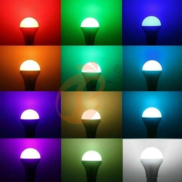 poultry house light (4)