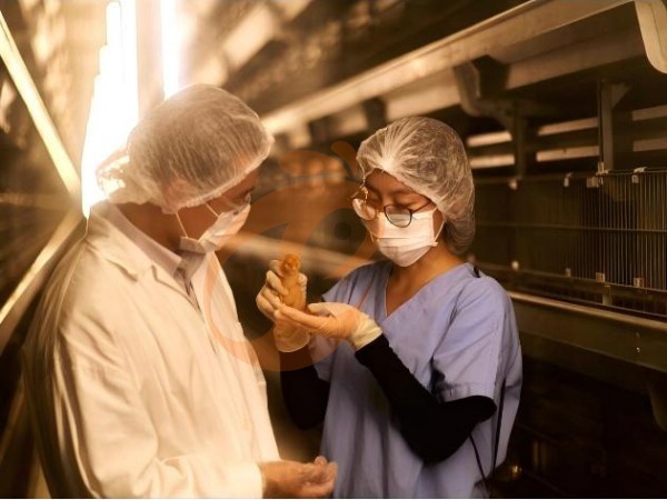 ¿Qué afecta el costo del sistema de jaulas para pollos avícolas de Etiopía? 6 factores principales