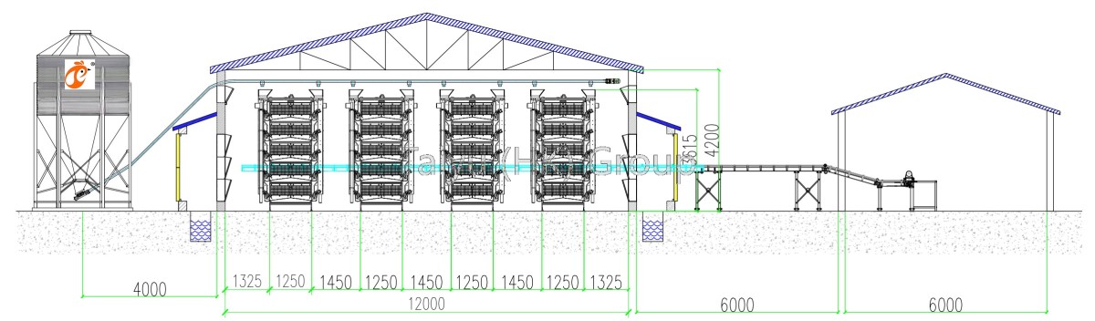 poultry house size and drawing (2)