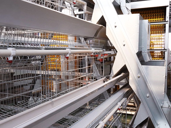 Feed System1 (1)