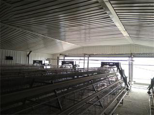 Our company finished breeder chicken cage project 