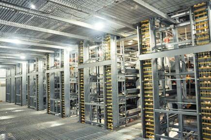 Our company finished layer chicken project of 30,0