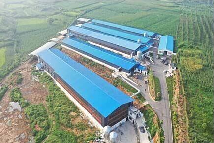 Our company finished layer chicken project of 30,0