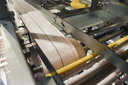 Our company finished layer project of 49,280 layin