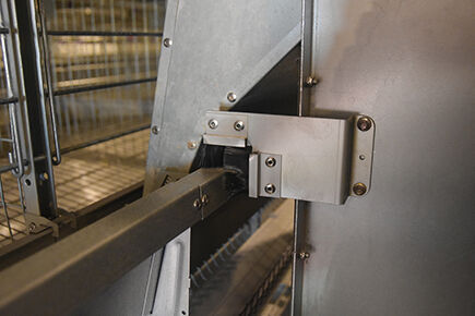 Our company finished layer project of automatic ch