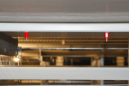 Our company finished layer project of automatic ch