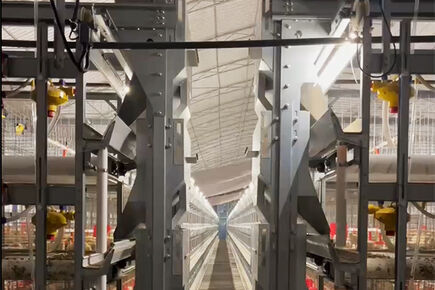 Our company finished with broiler project of 500,0