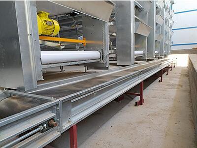 Our company finished layer project of 100,000 bird