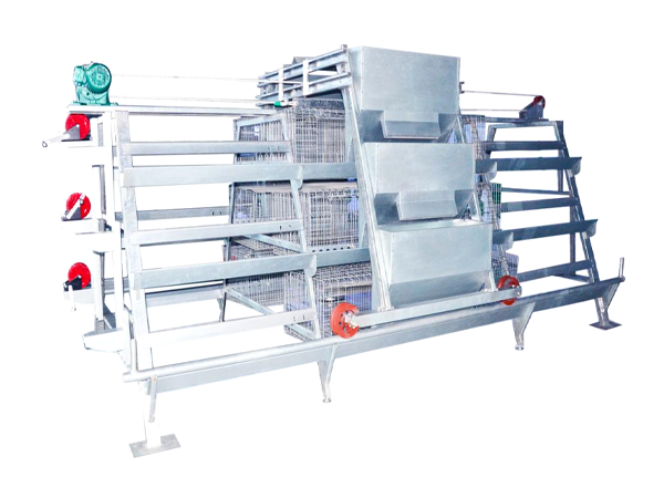 Jaula para pollitas, 10,000 - 30,000 pollitas/gallinero, jaula automática tipo A para pollitas, recolección manual