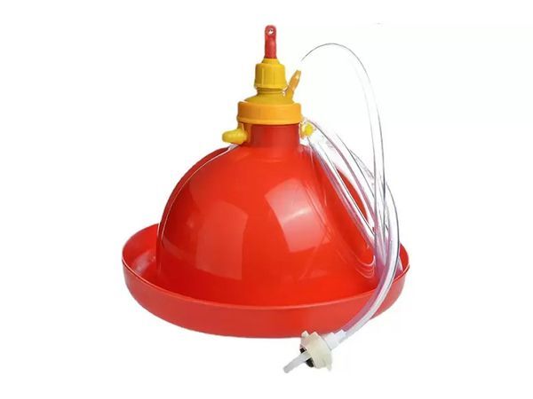 Bebedero Bell Plasson