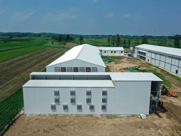 Sistema de secado de estiércol