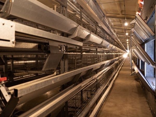 Sistema de Control de Ventilación