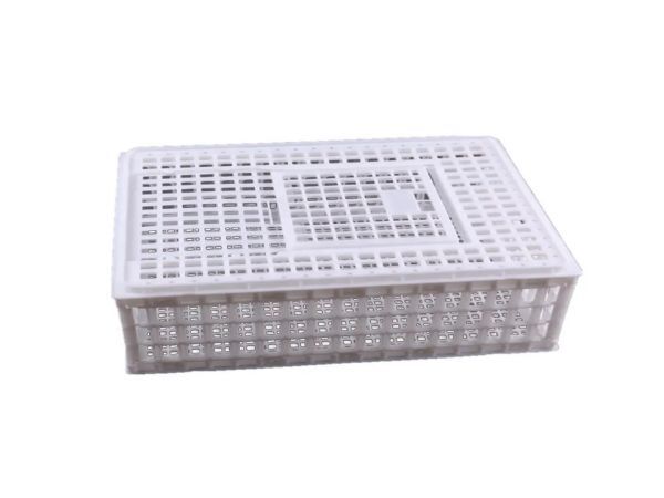 Jaula de Transporte de Aves