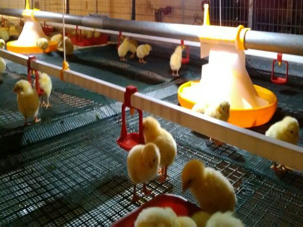 Sistema de iluminación