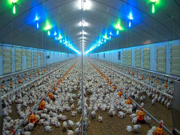 Sistema de iluminación