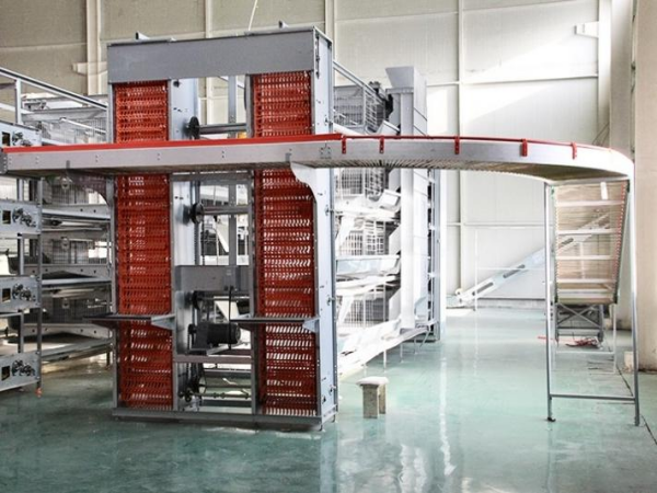 Clasificación Automática de Huevos en Terminal