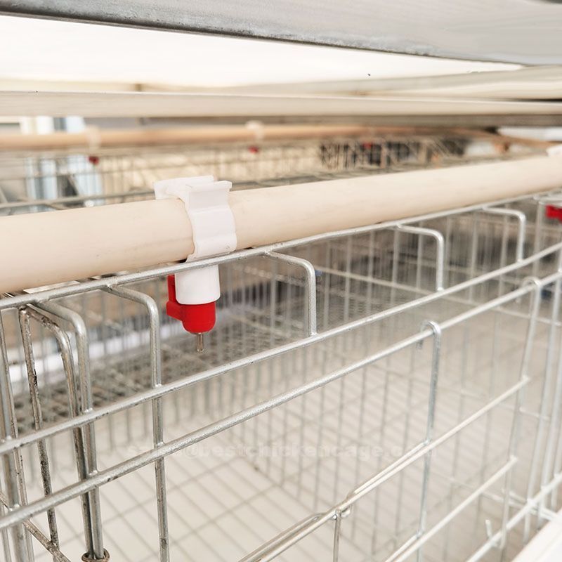 鸡笼或蛋鸡笼H (34).jpg