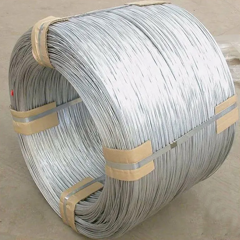 Stainless Steel Wire