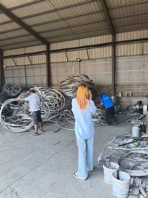 微信图片_2025-08-18_105516_240