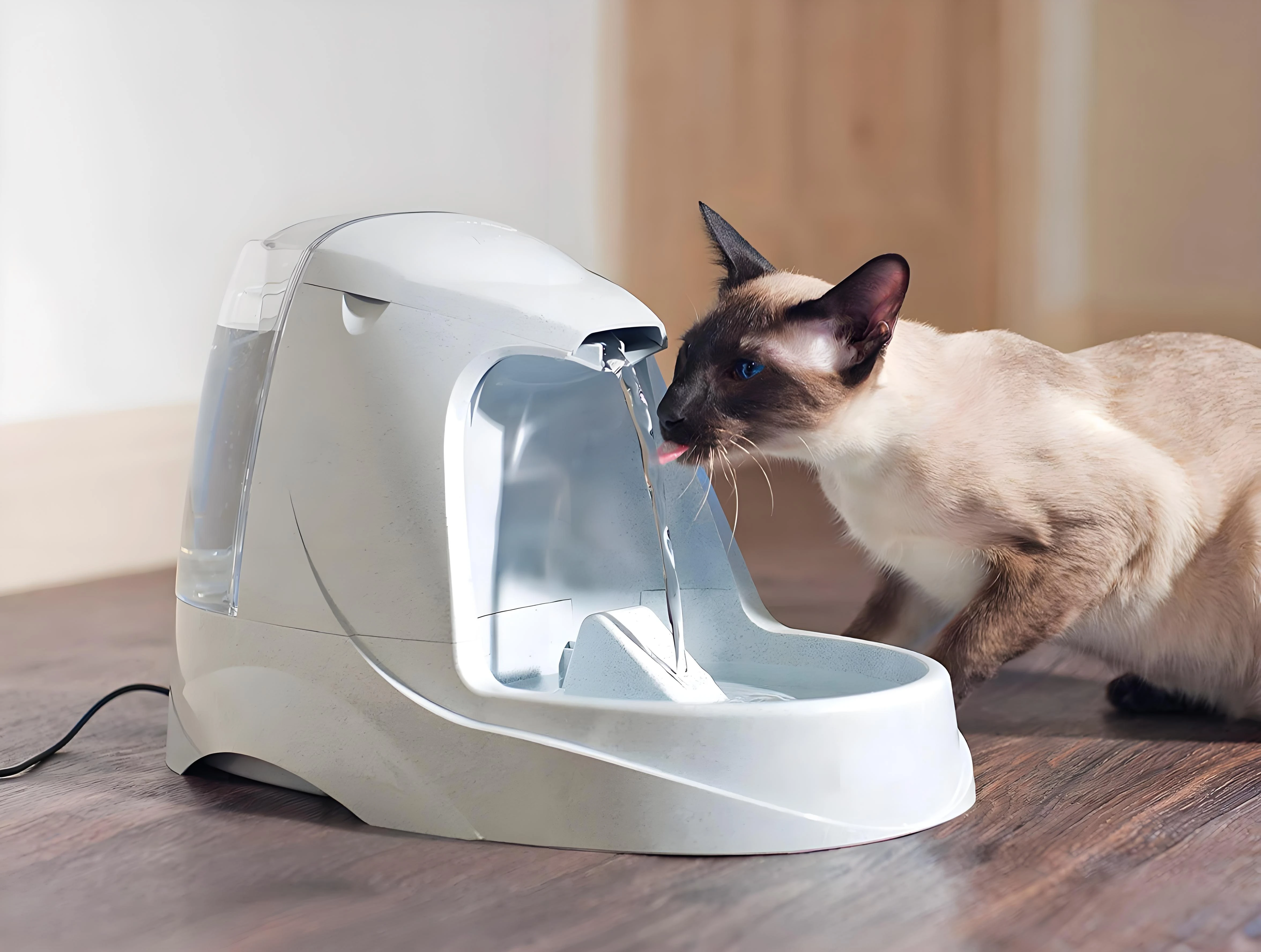 Shijiazhuang Mengtu Pet Products Co., Ltd. was formally established, focusing on the R&D and sales of high-quality pet products.