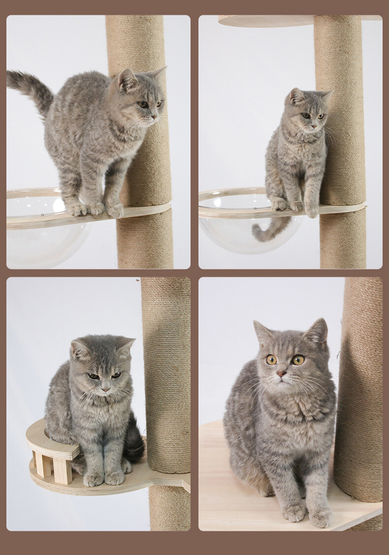 Floor to Ceiling Cat Tree Adjustable Cat Tower CaT-0