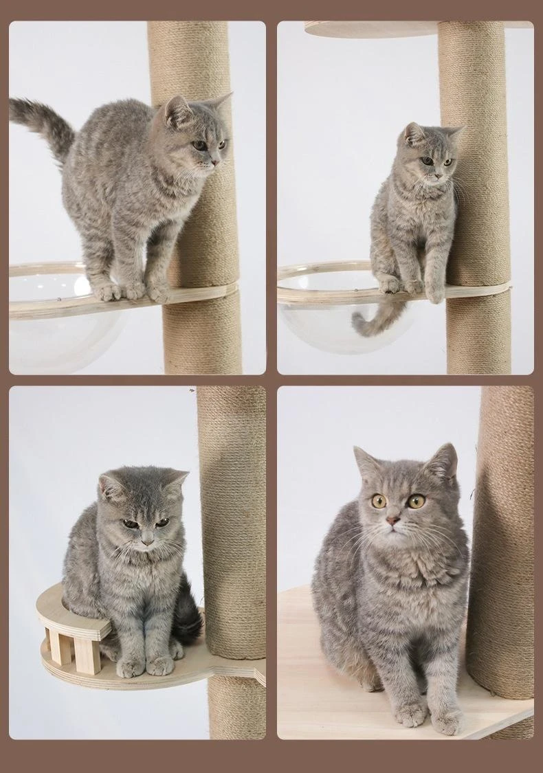 Floor to Ceiling Cat Tree Adjustable Cat Tower CaT-040