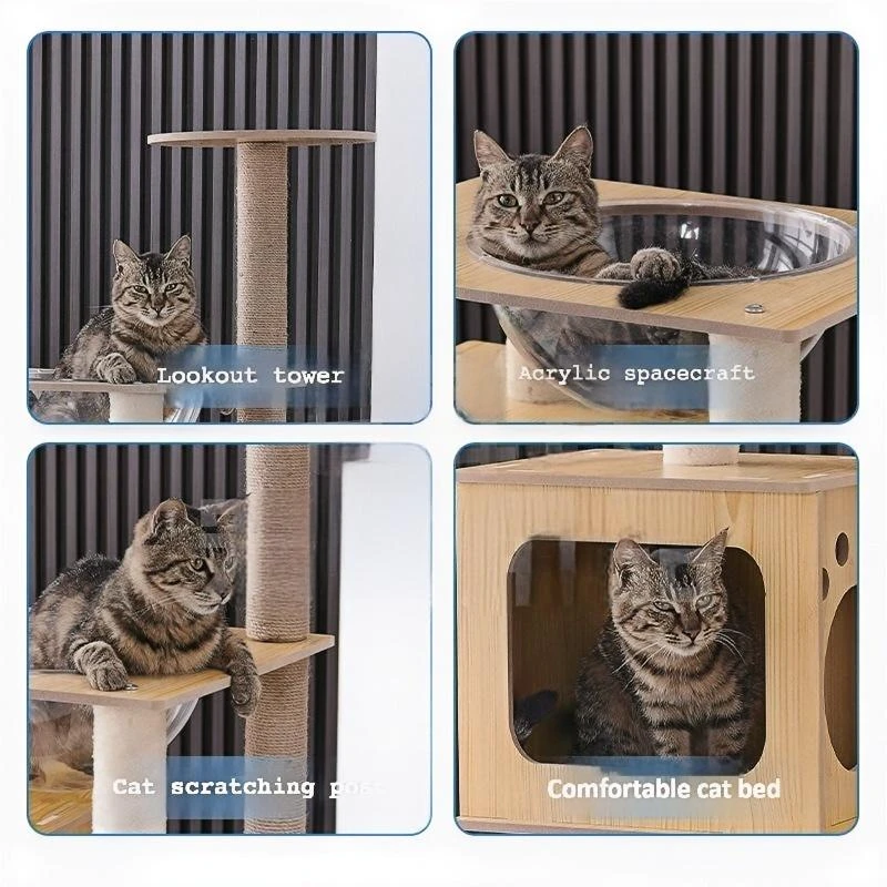 Cat Tree CaT-063
