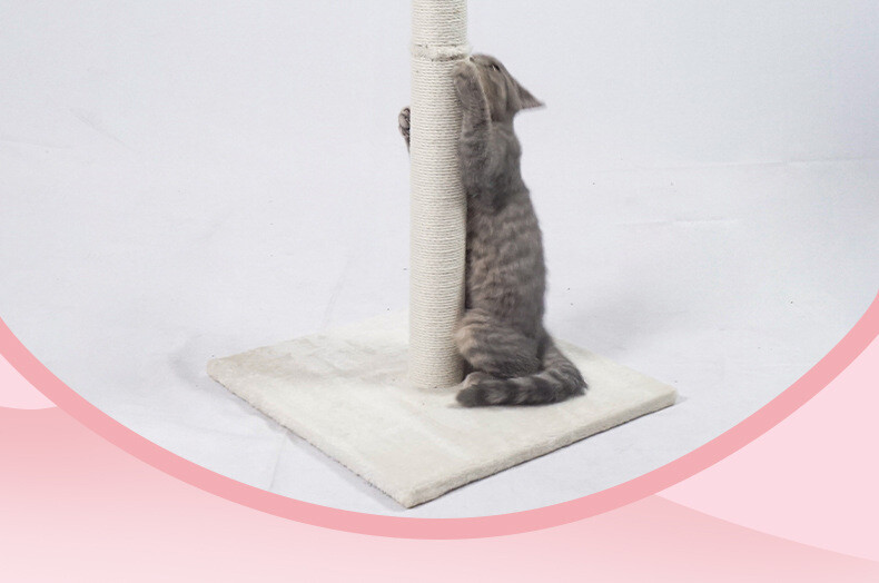 Cat Scratching Post  CaT-077