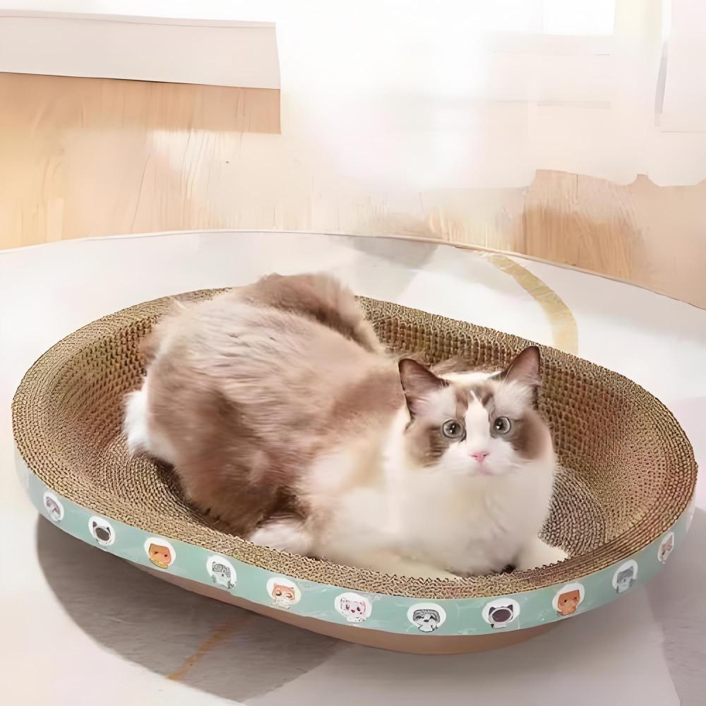 Cat scratch board recommendation: Which one is more suitable for your cat?