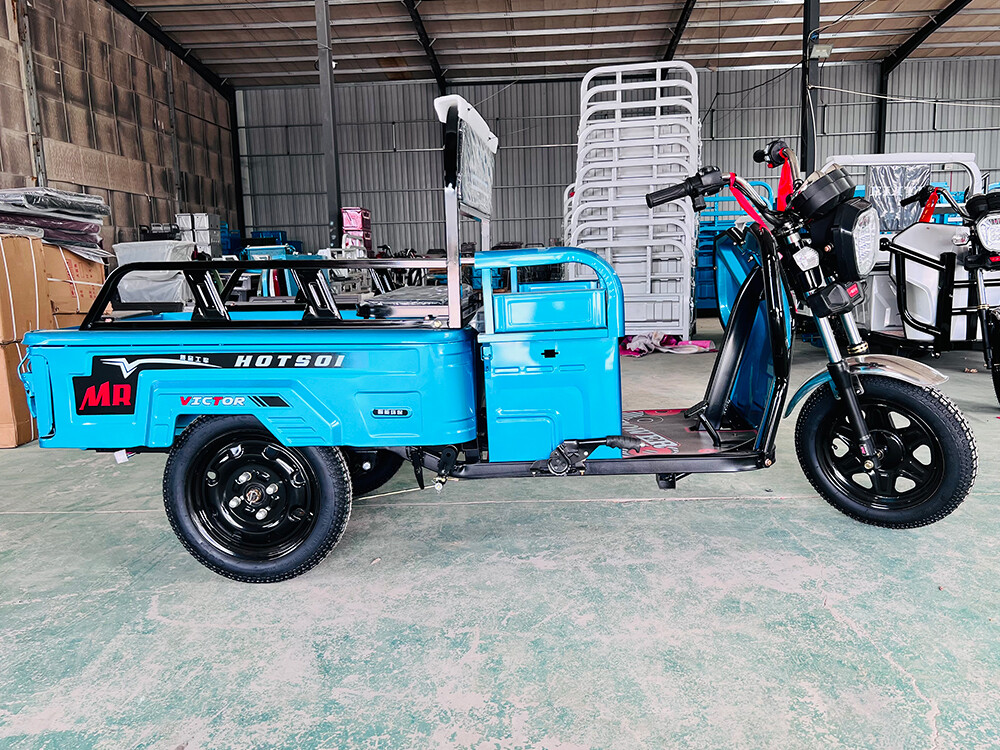 货运电动三轮车