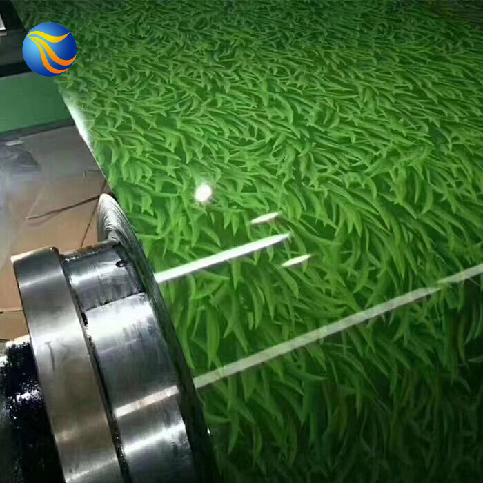 Color Coated Steel Coil for Household Appliances