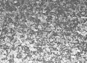 E6D945D1-824F-4CD4-9668-7A5FBD9C4B0C