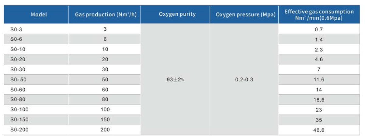 2 PSA Oxygen Generator