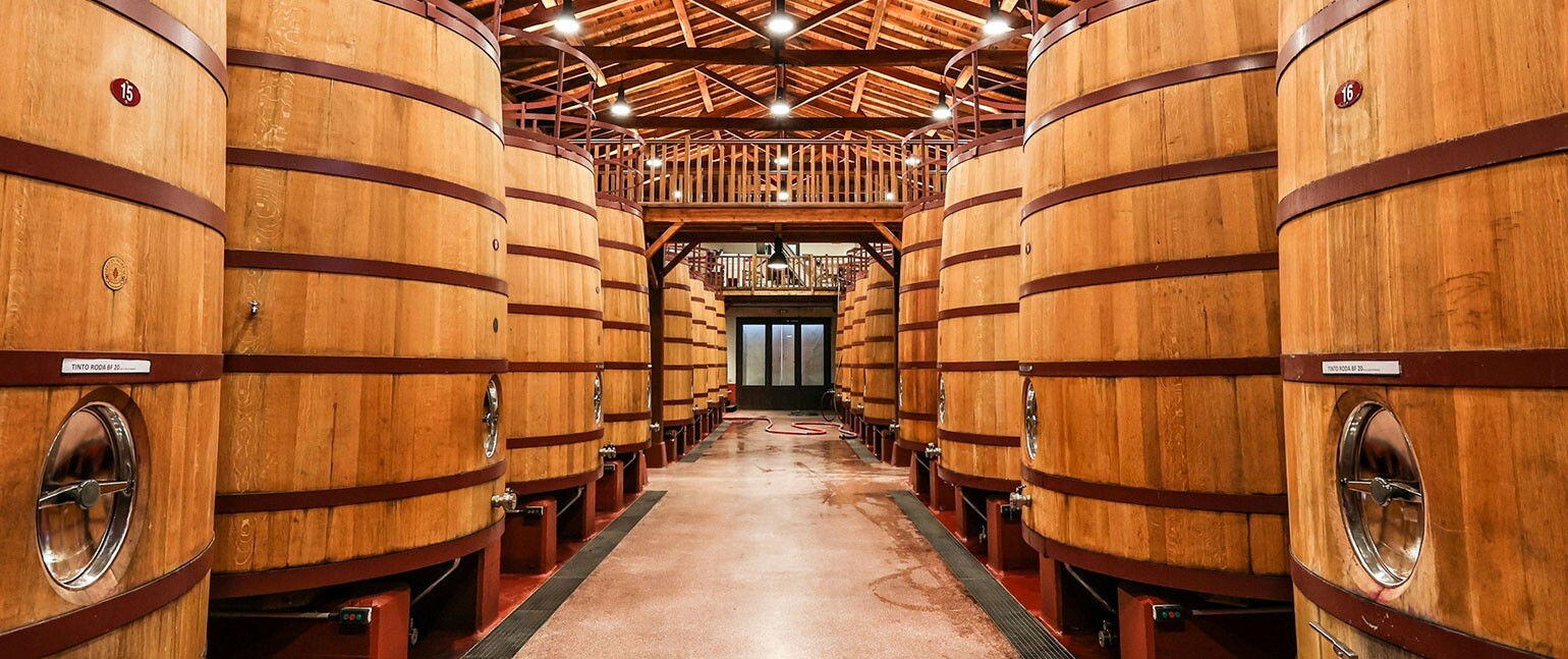 Fermentation