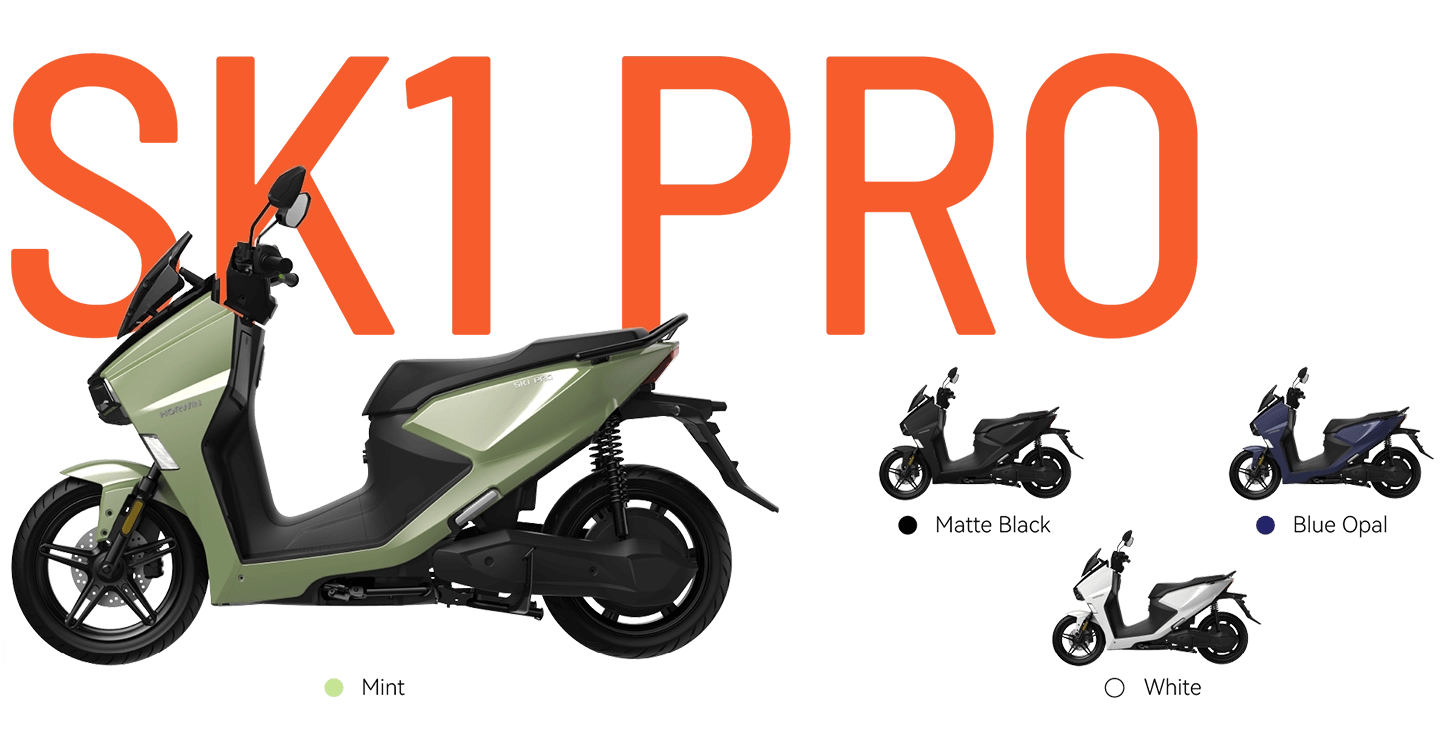 SK1PRO-1