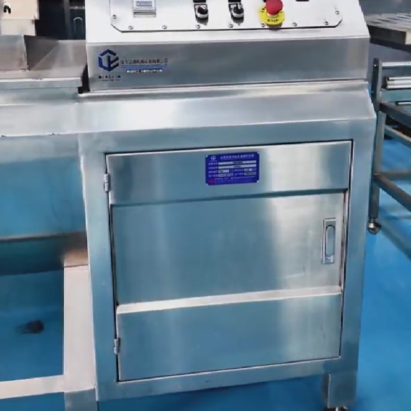 Commercial Grade Universal Cleaning Machine for Kitchen Fruits Vegetables Meat Sterilization