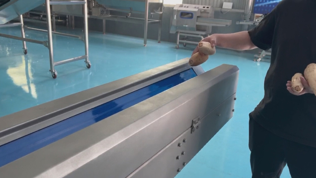 V-belt vegetable slicer