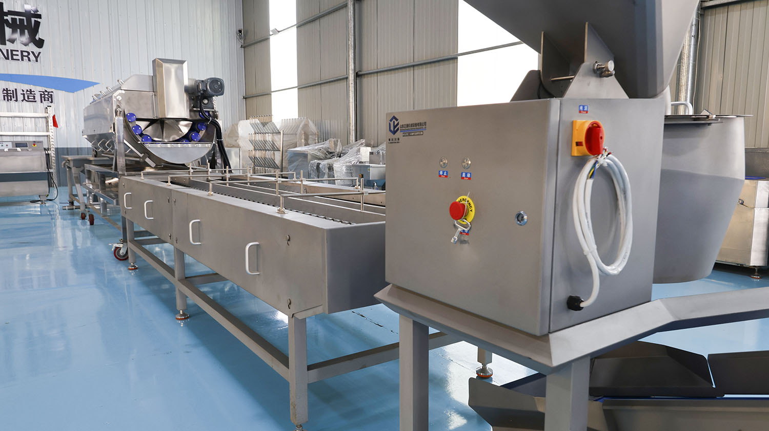 Clean Vegetable Production Line - Root and Stem Products