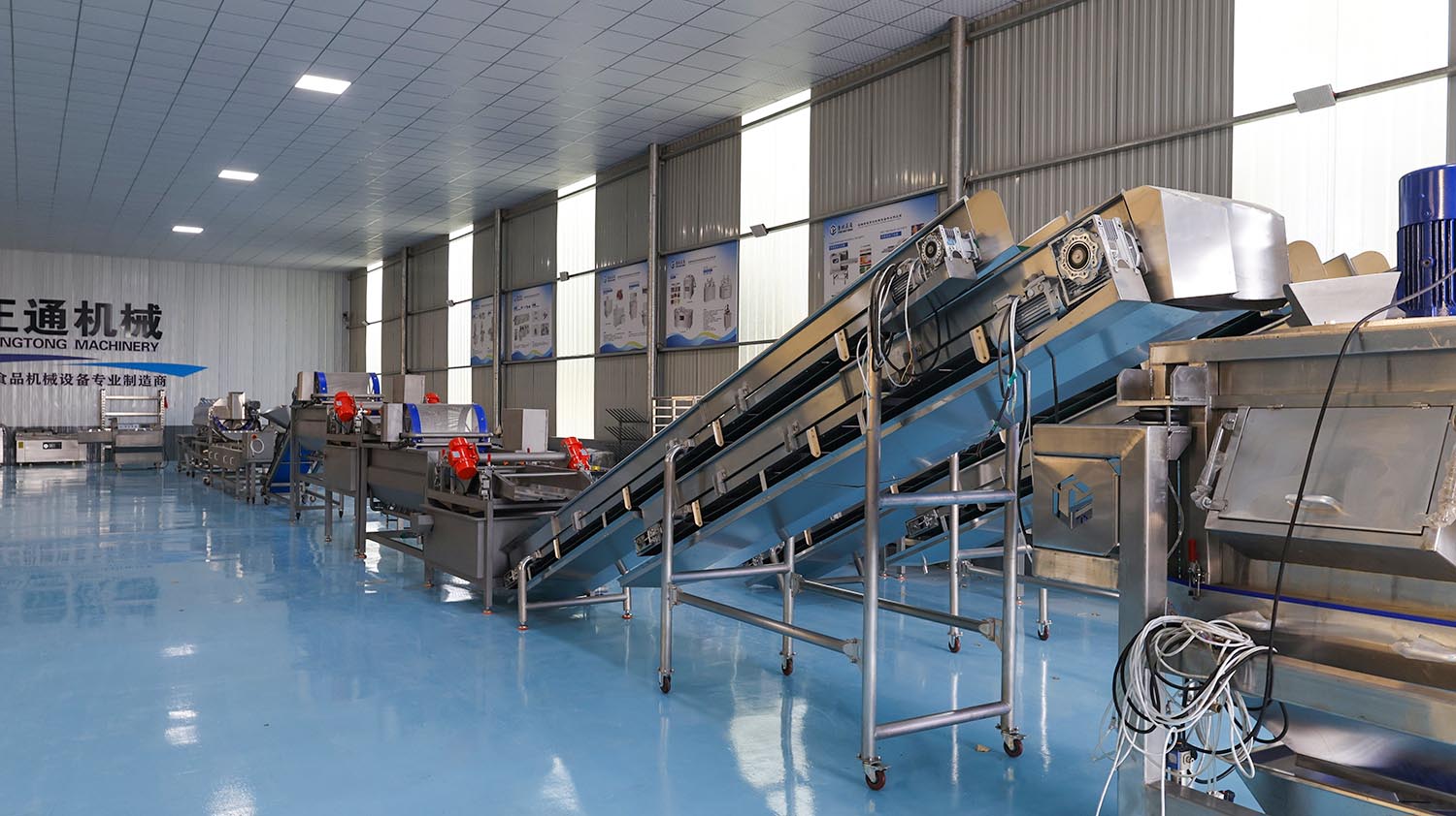 Clean Vegetable Production Line - Root and Stem Products