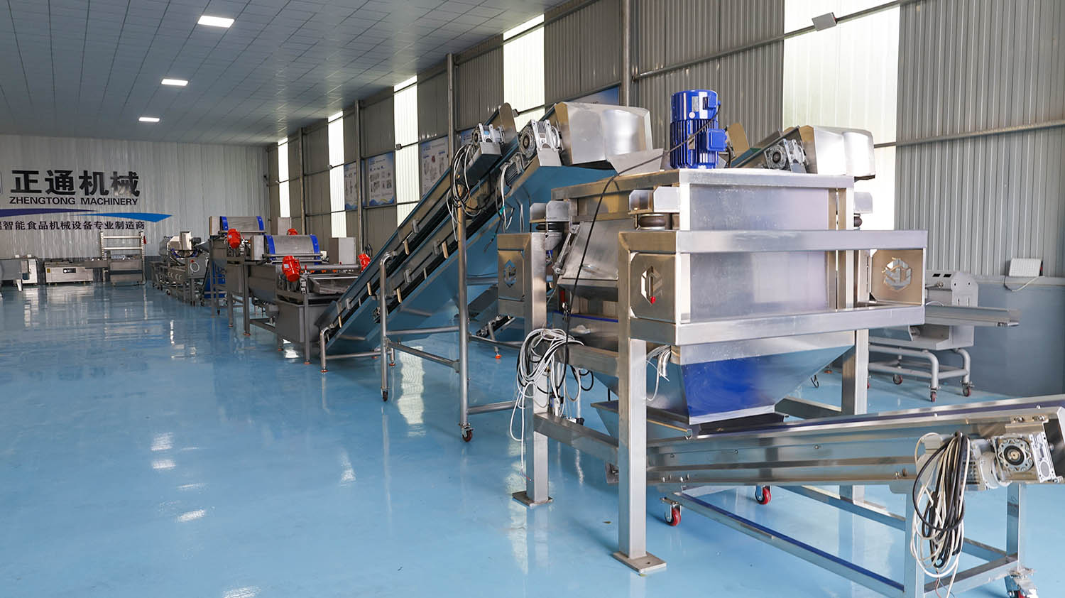Clean Vegetable Production Line - Root and Stem Products