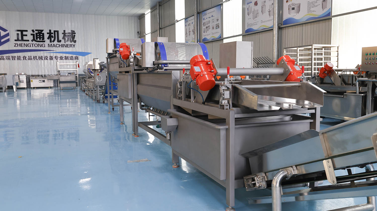 Clean Vegetable Production Line - Root and Stem Products